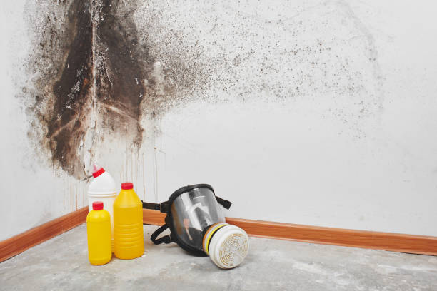 Best Crawl Space Mold Removal  in Hickman, NE