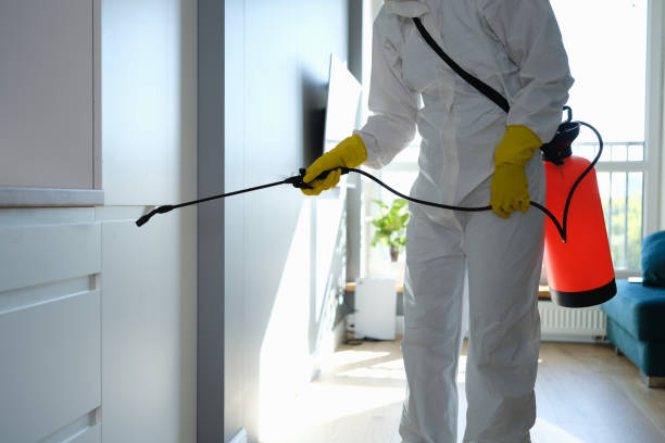 Best Mold Remediation Experts  in Hickman, NE